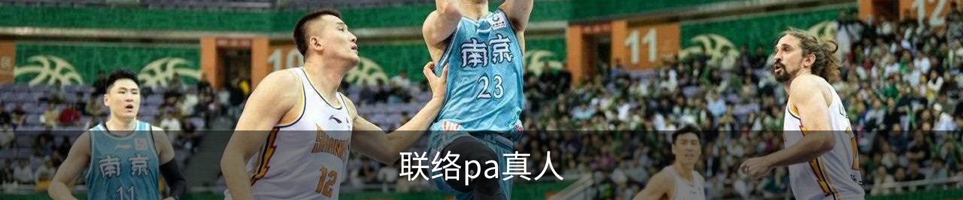 联络pa真人