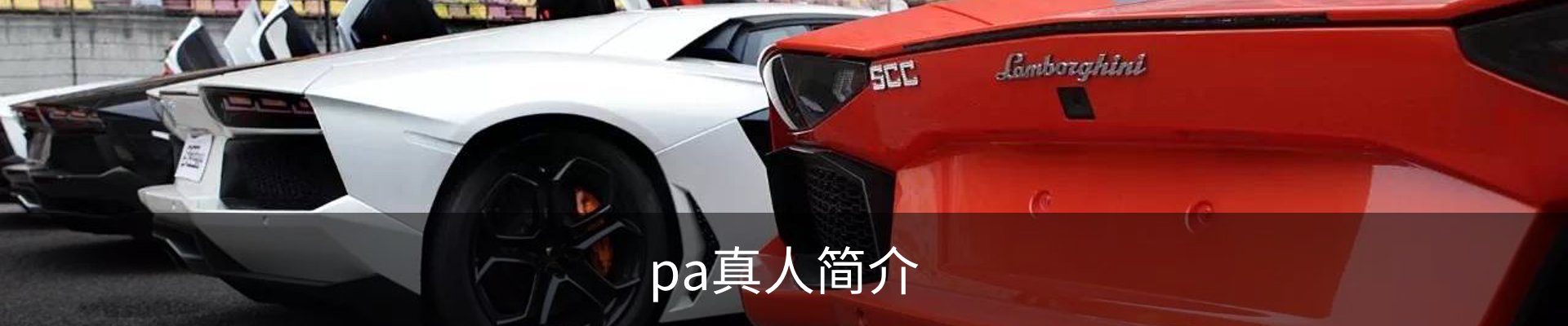 pa真人简介